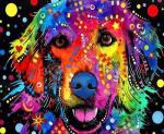 Красочный веселый пёс