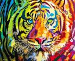 Морда большого тигра с разноцветными глазами