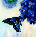 Синяя бабочка на цветах