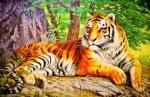 Большой тигр под огромным деревом
