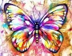 Бабочка с пёстрым рисунком