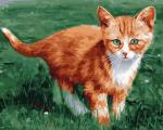 Картина по номерам 40х50 GX 22737 Рыжий котенок