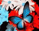 Голубая бабочка на ярких цветах