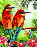 Яркие птицы тропиков