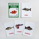 Обучающие карточки по методике Г. Домана «Рыбы», 10 карт, А6