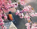 Желтогрудая птица в цветущей сакуре