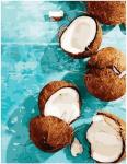 PK 72049 Сладкие кокосы 40*50