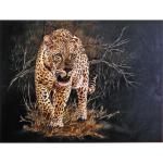 Алмазная мозаика 40*50см "Леопард" с полным заполнением, напечатанной рамкой, на деревянном подрамнике J50042