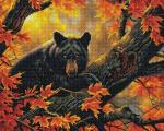Алмазная мозаика, 40х50, квадратные стразы GF 1712 Медведь