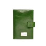 Авто документы и паспорт NF 9320J Green