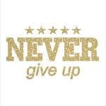 Наклейка NEVER GIVE UP