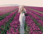 Девушка на поле фиолетовых тюльпанов