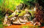 Волки со щенками у логова