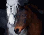 - Белая и гнедая лошади