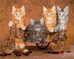 Четыре милых котёнка на велосипеде