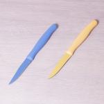 Нож для чистки из нержавеющей стали с покрытием "non-stick" и пластиковой ручкой (лезвие 9см) Kamille 5322