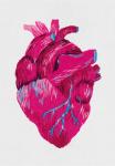 Набор для вышивания "PANNA" "Живая картина"   JK-2195   "Анатомическое сердце"
