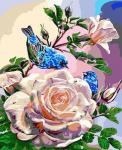 Синие птички на цветущей розе