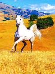 Большая белая лошадь на желтом холме