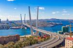 Дневной вид на мост Владивостока