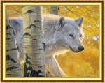 Белый волк и осенние берёзы