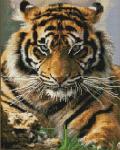 Большой тигр
