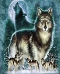 Стая волков в зимнем лесу