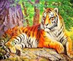 Тигрица отдыхает на солнышке