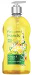 Мыло жидкое для рук "Pampered Hands" имбирь и лимон 650г