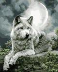 Белый волк под луной