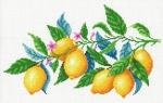 "Лимонная гармония" Рисунок на канве 30х40см