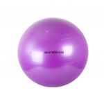 Мяч гимнастический BF-GB01 (26) 65  см