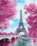 Цветущие вишни в Париже