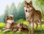 Волки и волчата