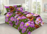 Комплект постельного белья бязь 3D / Хризантемы