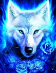 Белый волк и розы в голубом пламени