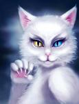 Белая кошка с разноцветными глазами