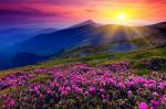 Закат солнца над цветущими горами