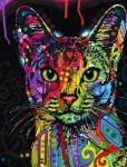 Абиссинская кошка в ярких цветах
