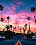 Дорога и розовое небо Калифорнии