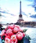 Красивый букет роз на фоне Эйфелевой башни