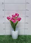 Букет цветов "Тюльпаны" SF-5073, в ассортименте