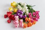 Букет цветов "Тюльпаны" SF-5076, в ассортименте