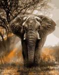 Большой слон на фоне деревьев