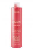 BUT06032, Шампунь для экстремально поврежденных осветленных волос / Extreme Blond Repair Shampoo, 1000 мл, BOUTICLE