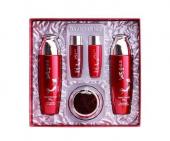 Daandan Bit Набор для ухода за кожей с женьшенем Premium Red Ginseng Skincare 3 Set