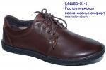 Мужская обувь DN 685-01-1