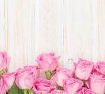 Фотопанно полосы "Бутоны роз", 300*270 см                             (d-102147)