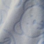 Плед-покрывало MICRO VELUR "Мишки" в пакете, голубой, 75*100 см                             (otk-100092)