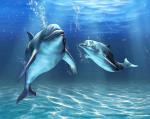 Фотопанно полосы "Два дельфина", 300*238 см                             (d-102221)
